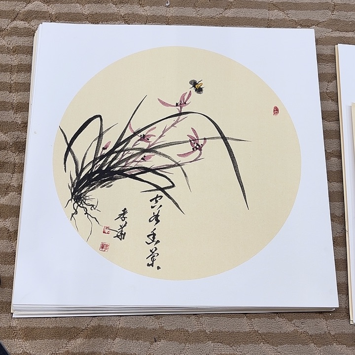 国画繁***天花鸟的翅膀和羽毛