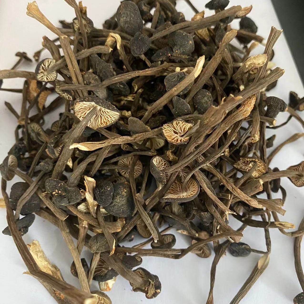 新货黑皮鸡枞菌营养煲汤干菌菇山货