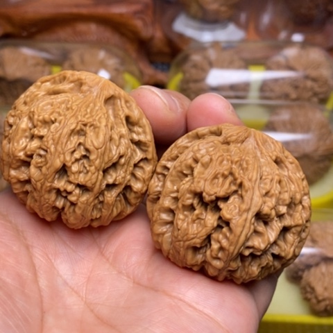 文玩核桃把件初*粗筋45