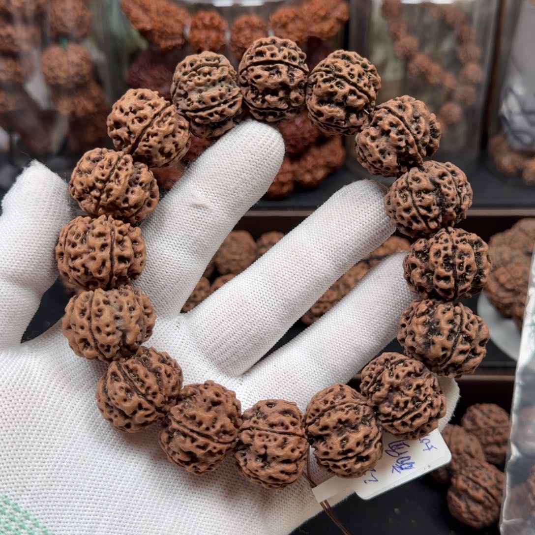 手串金刚菩提22古龙梅花（微扇面）