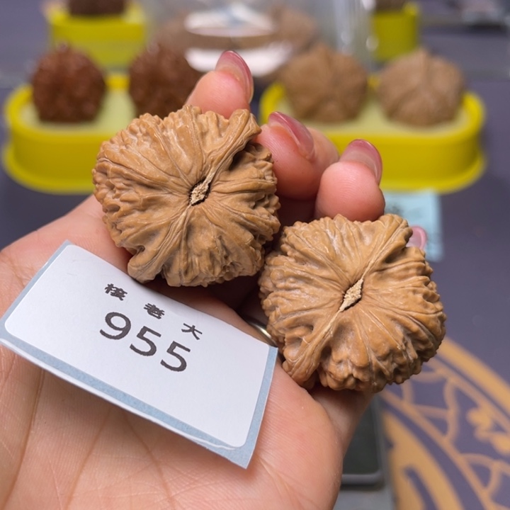 文玩核桃把件白狮子36.955