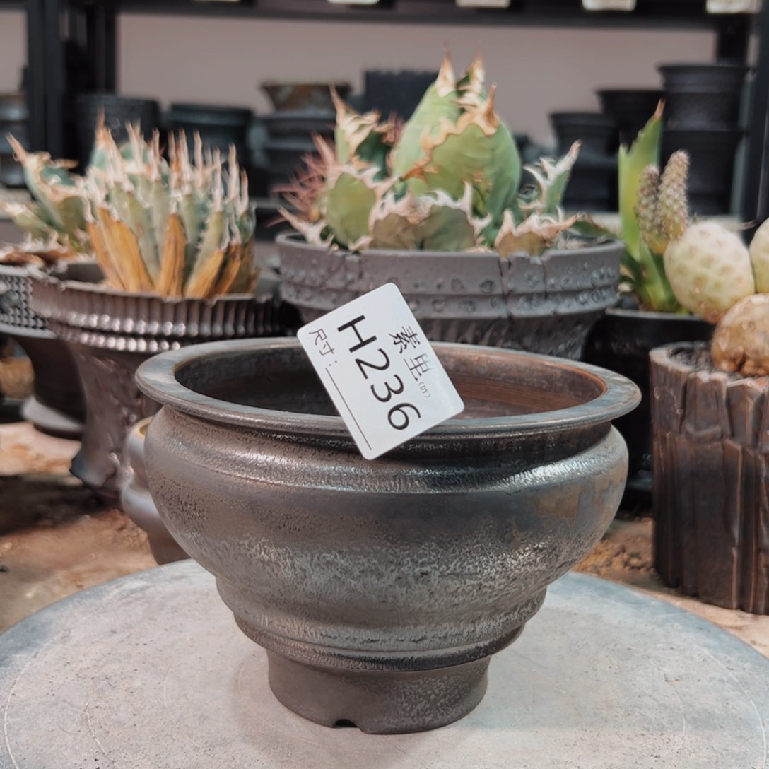 景德镇手工素里内口14高11