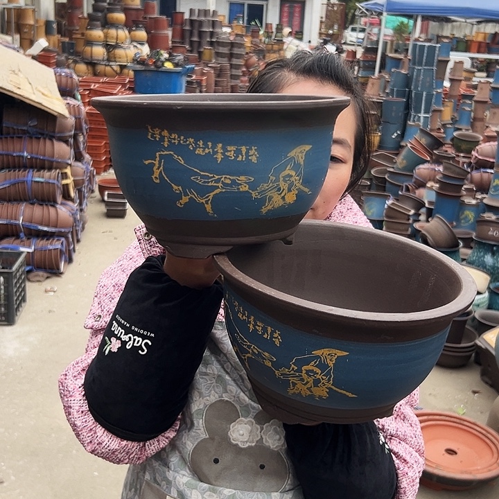21+21绿放牛娃三角金钟花盆
