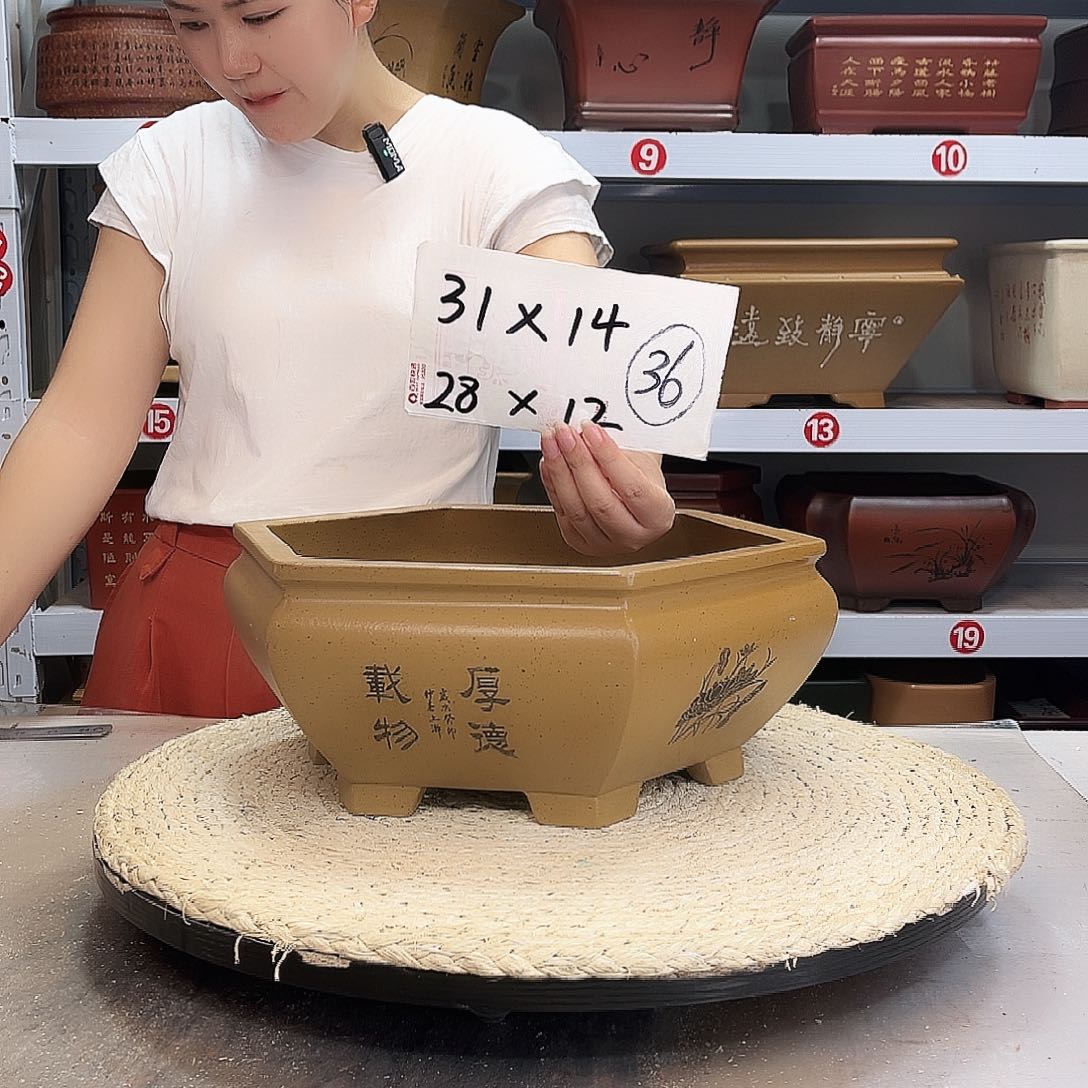 紫砂花盆紫砂花盆