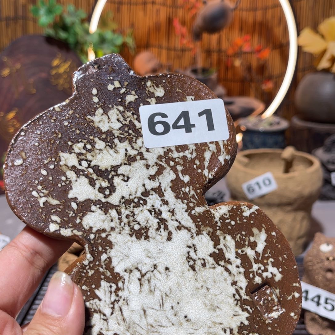 木村信弘柴烧保平