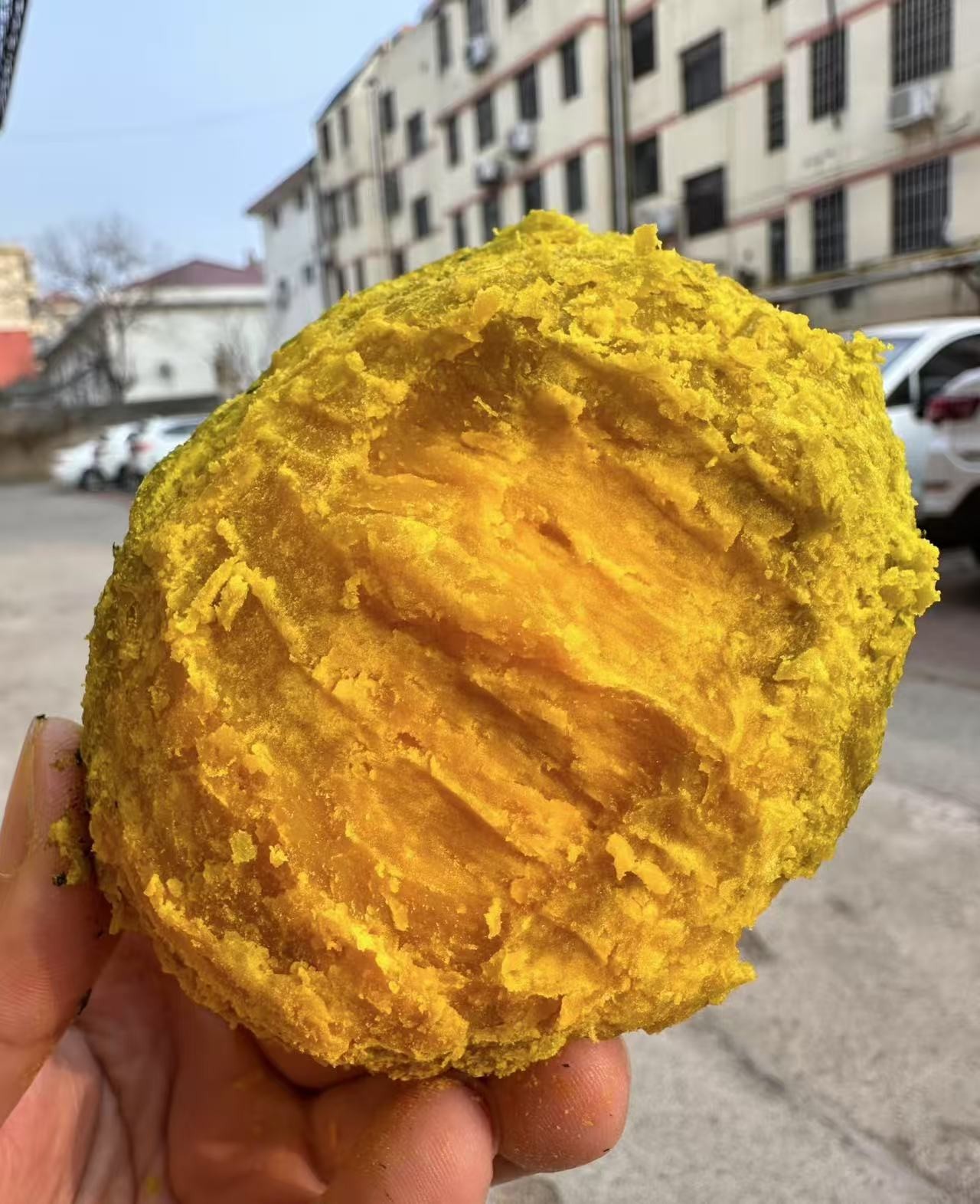 正宗贝贝南瓜新鲜采摘粉糯香甜板栗味适合宝宝贝贝南瓜板栗南瓜