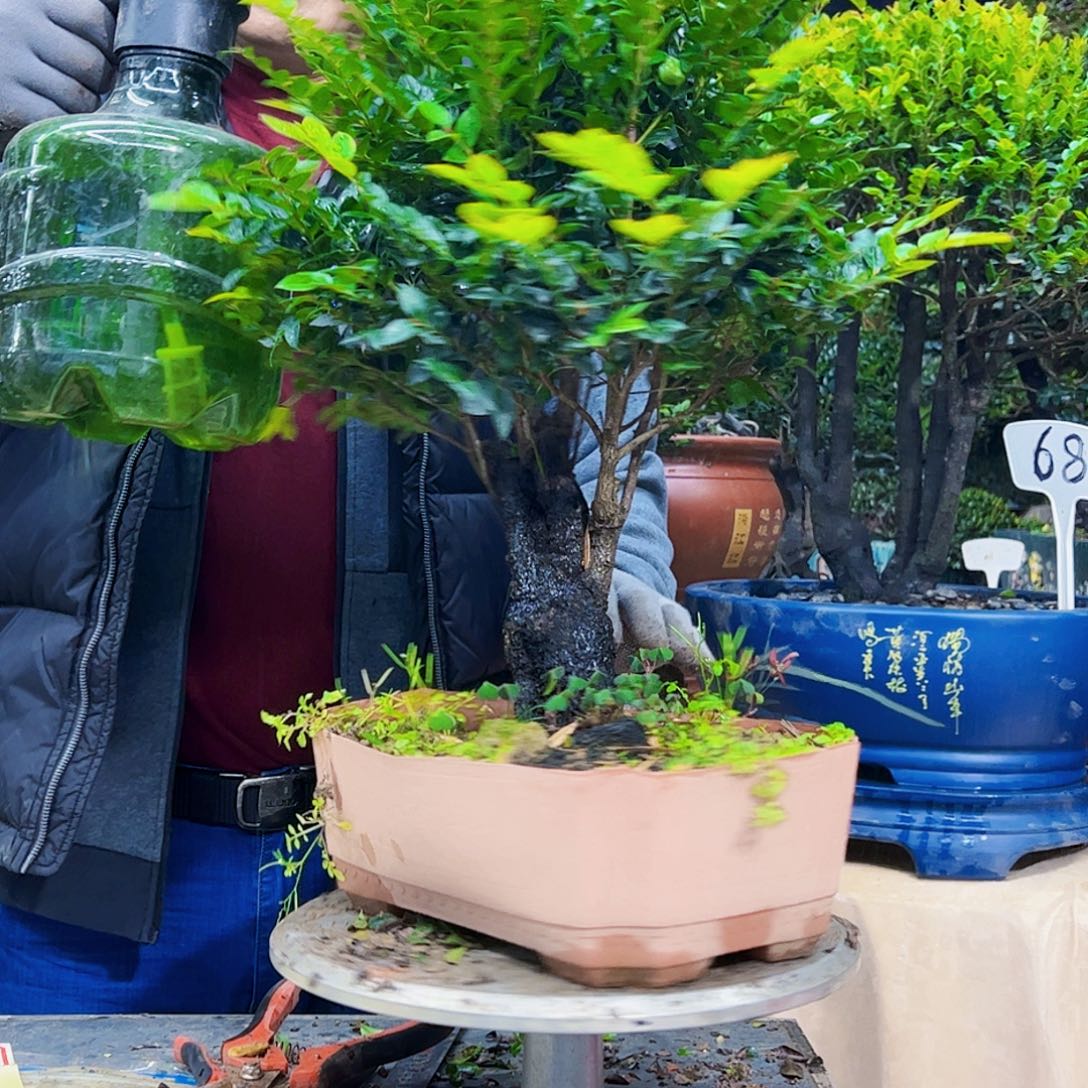 以实际为准创****）12345678