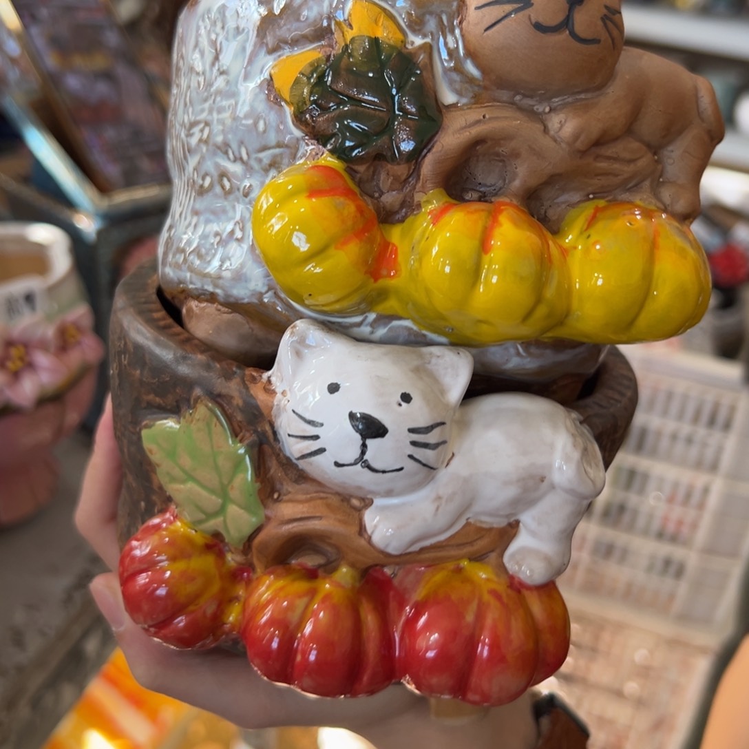 满18.8米包邮秒退拉黑多肉花盆