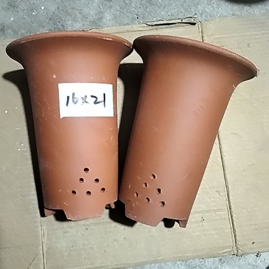 紫砂小红兰花两个