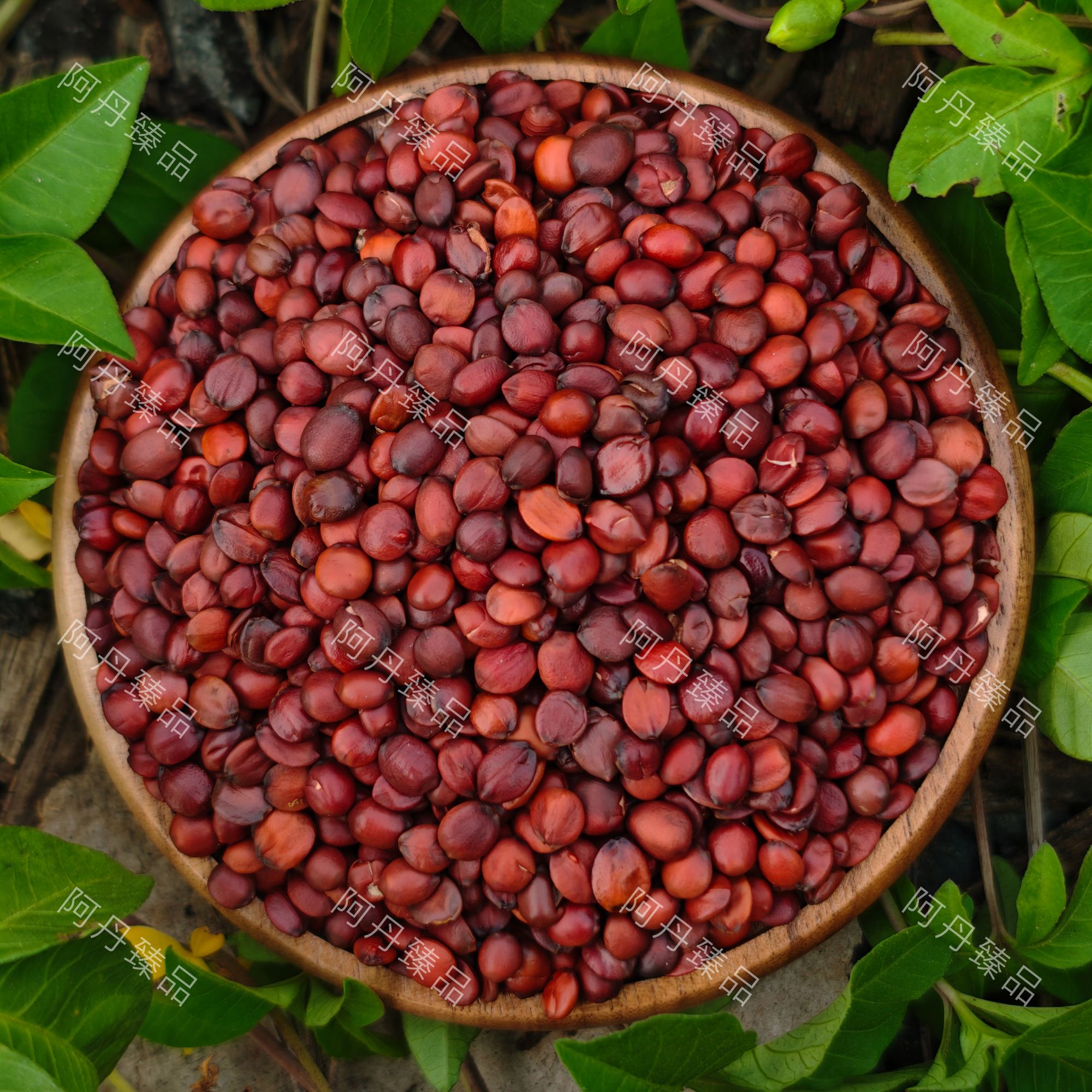 【阿丹臻品】酸枣仁 农家土特产