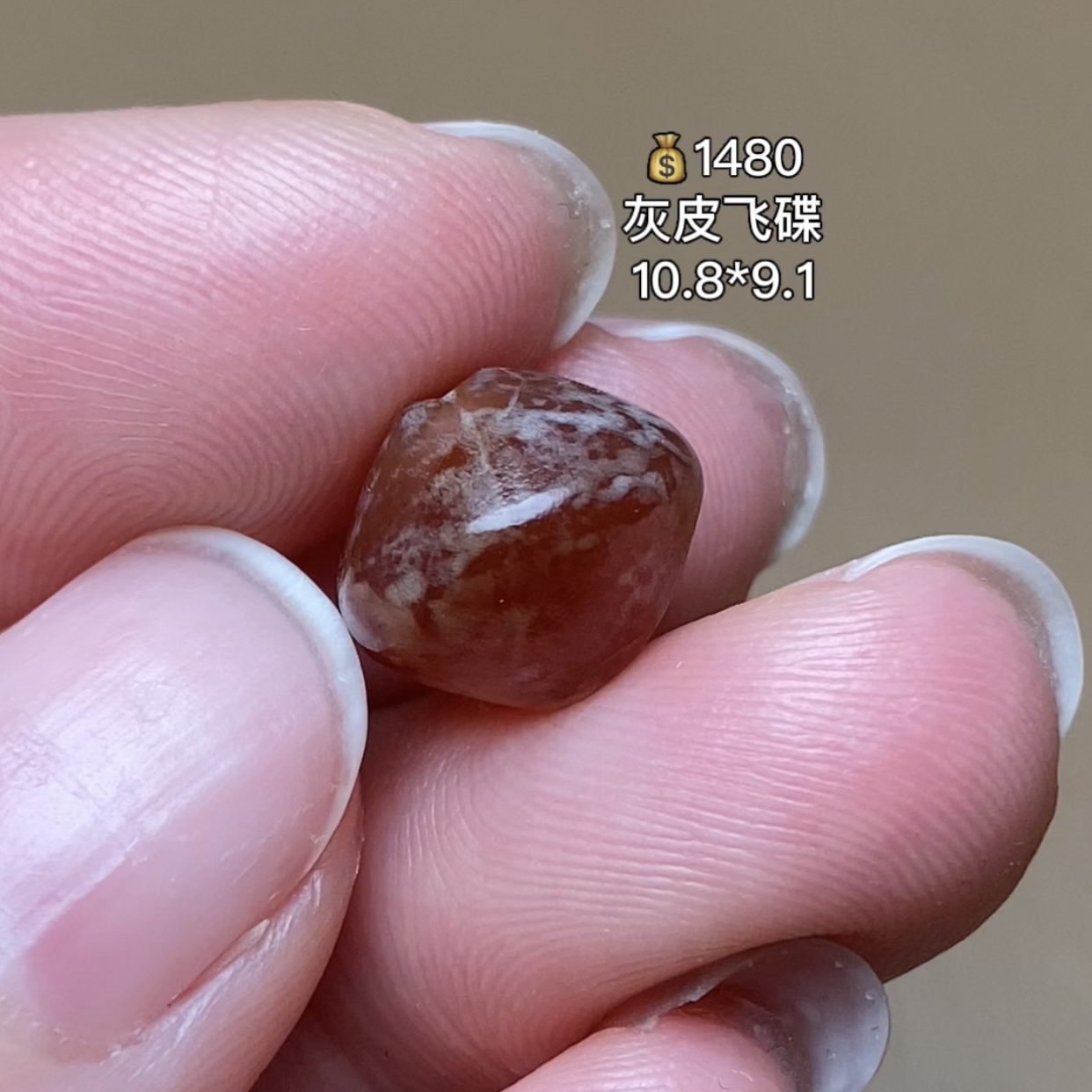 灰皮红飞碟珠 千年古珠 有细节视频找客服