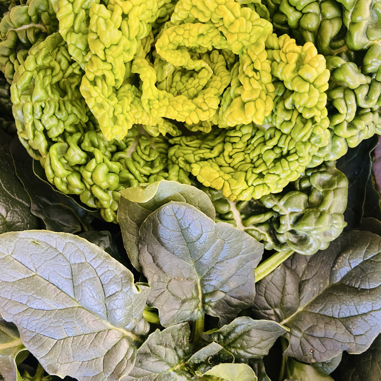 【红根菠菜黄心菜混搭】河南露天霜冻菠菜黄心菜黄心乌塌菜农家新鲜