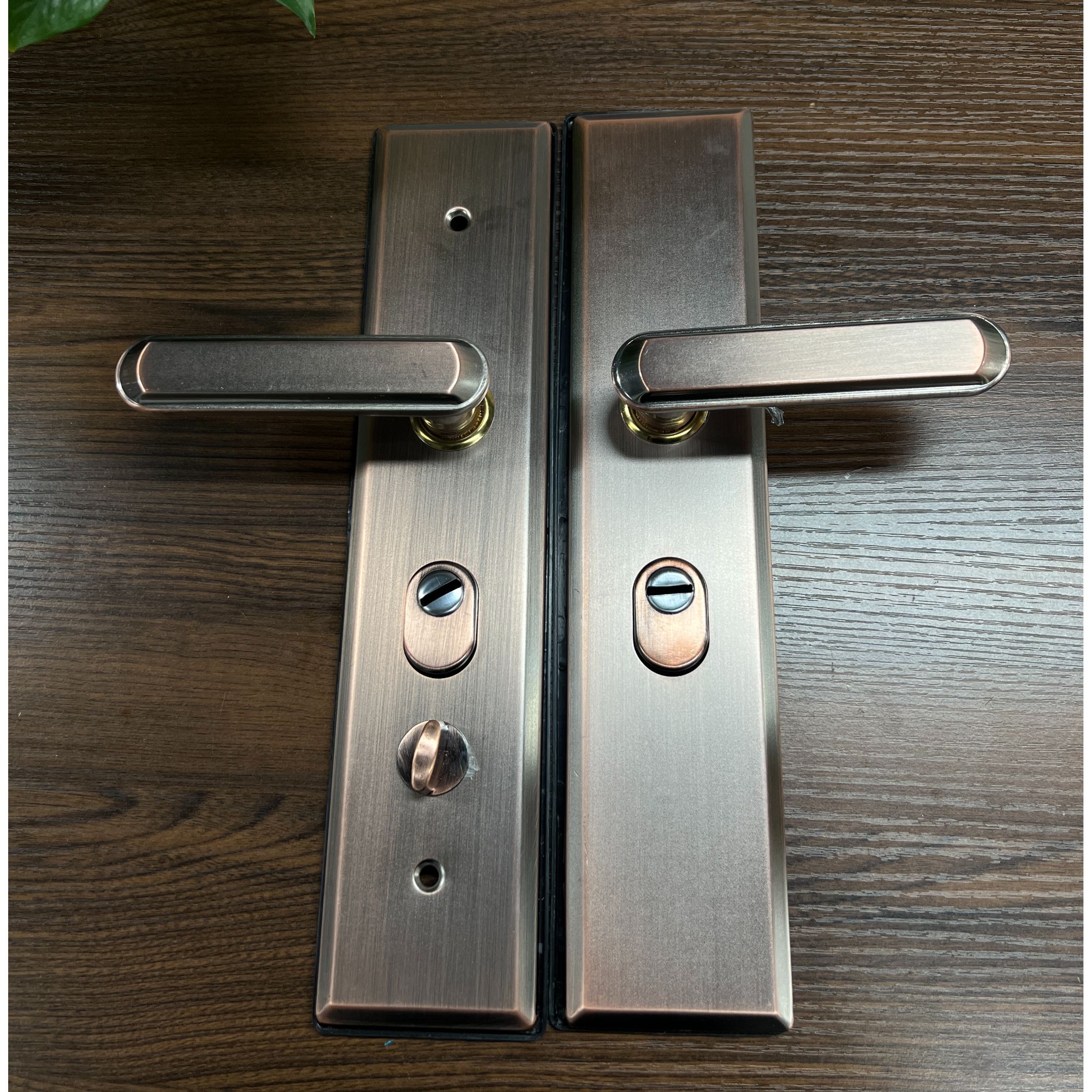 （拍一发十）A001不锈钢双拉簧防盗门拉手