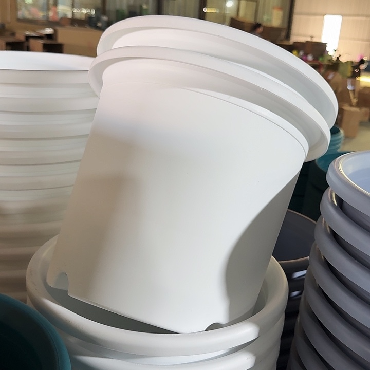 四季6#白色5个无托