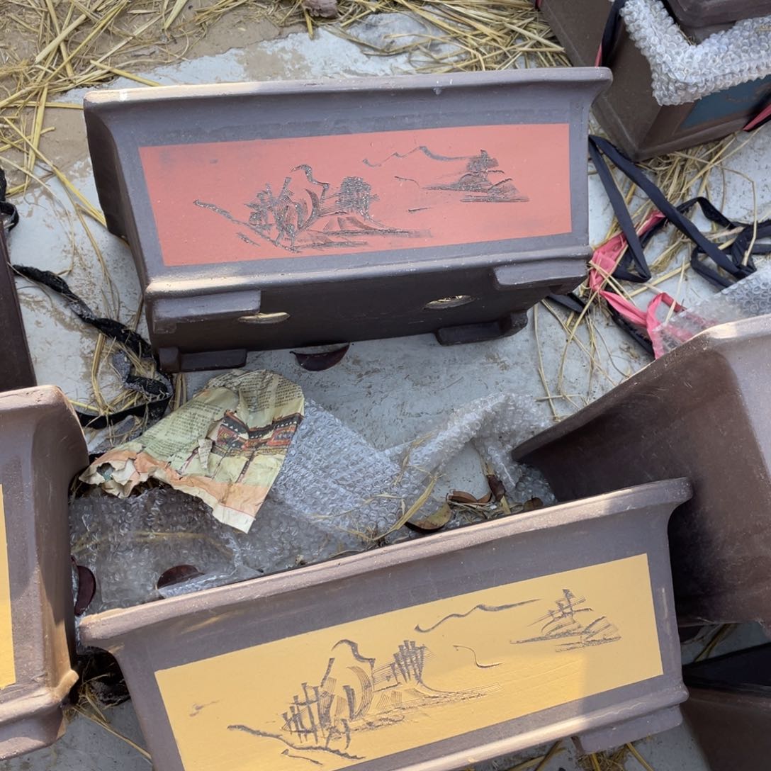 紫砂新****G马槽50cm 红黄 俩支