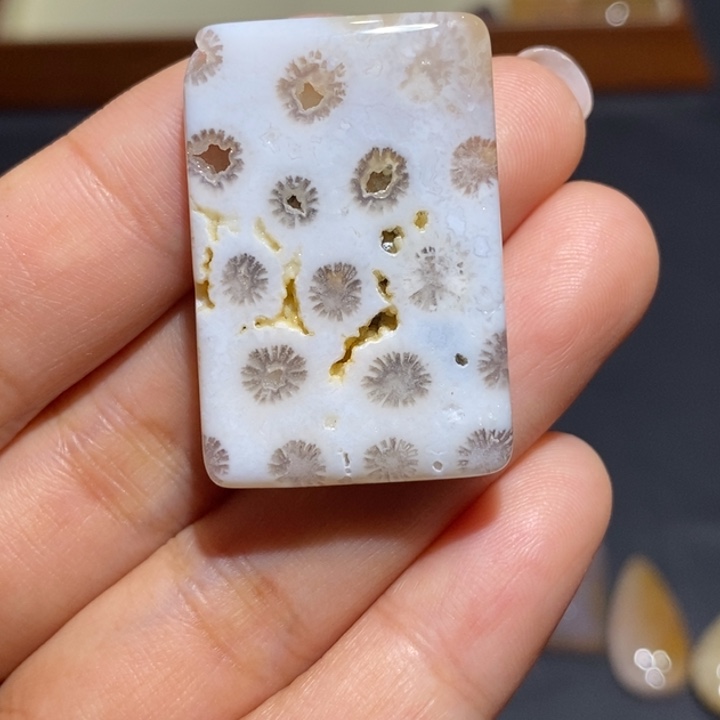 【闪购商品】未镶嵌珊瑚玉硅化玉
