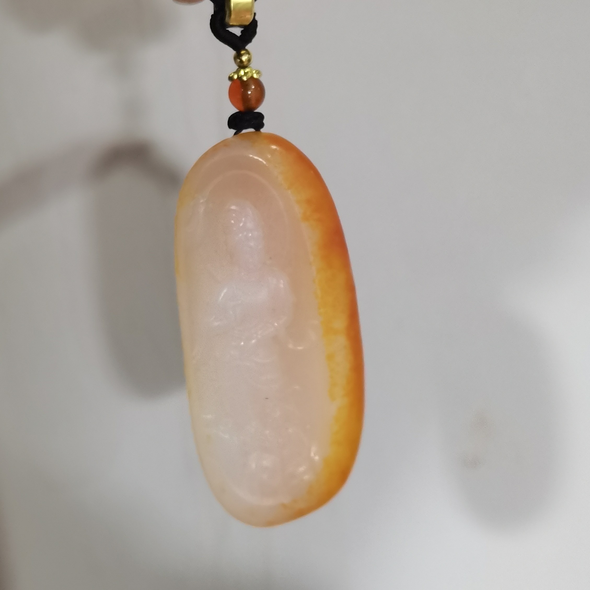 石包多样性拍一发一CC12月8日