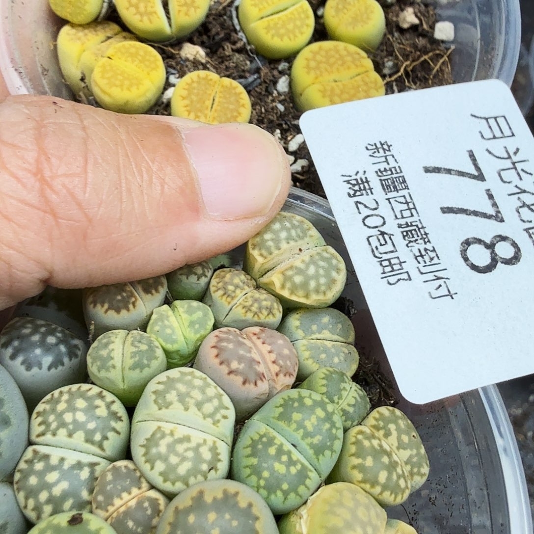 你要吃好睡暖和才778