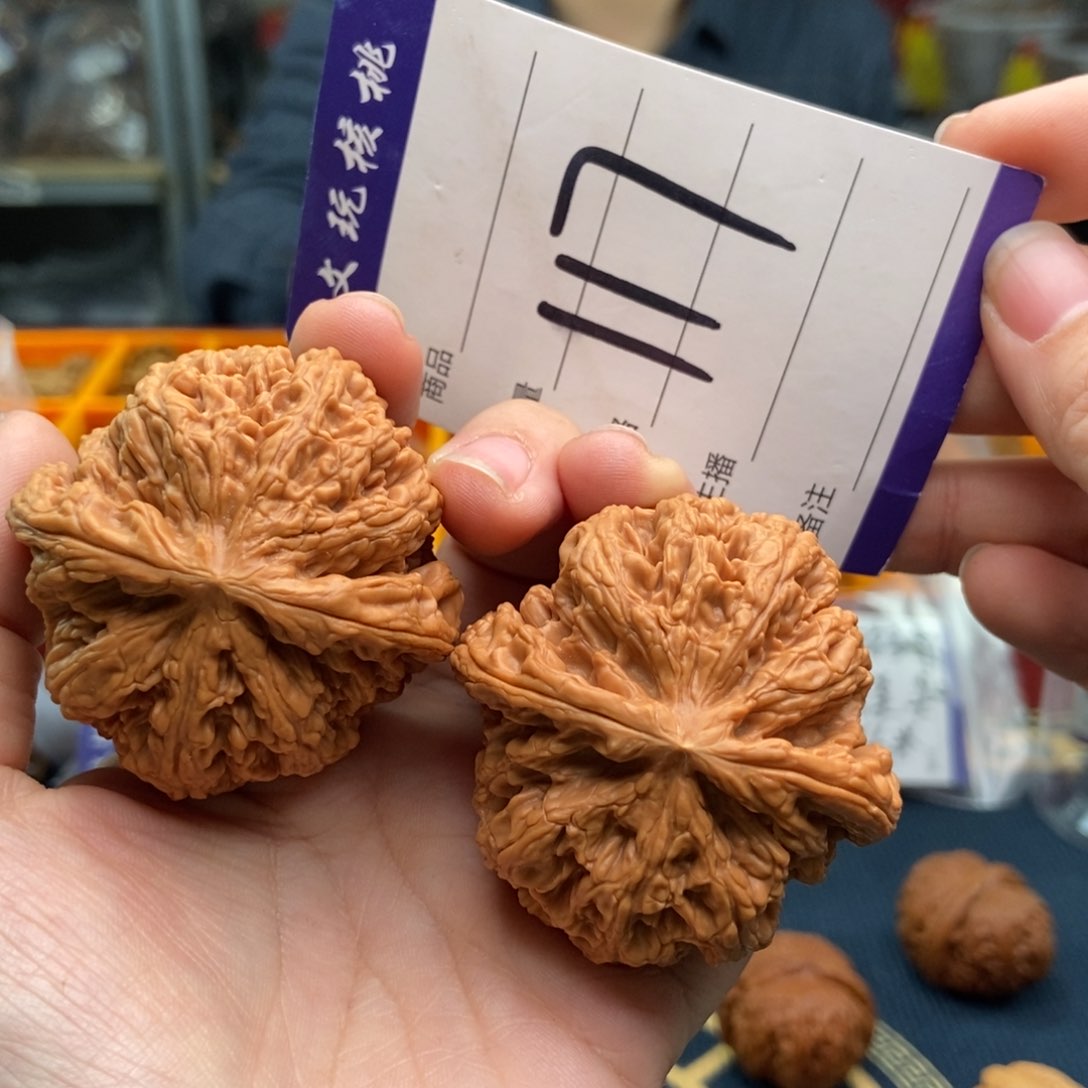 文玩核桃吊坠49粗筋