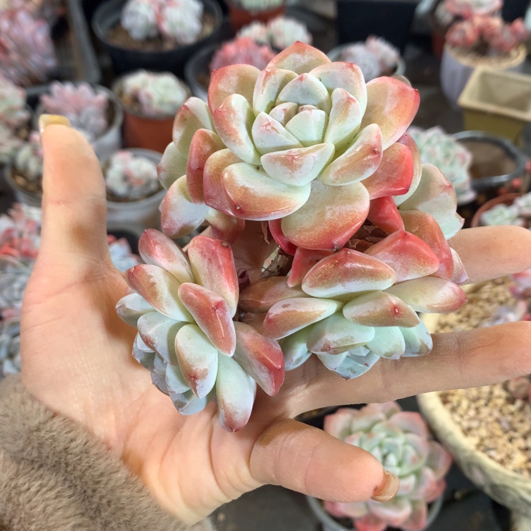 哈哈哈哈哈哈哈哈哈哈