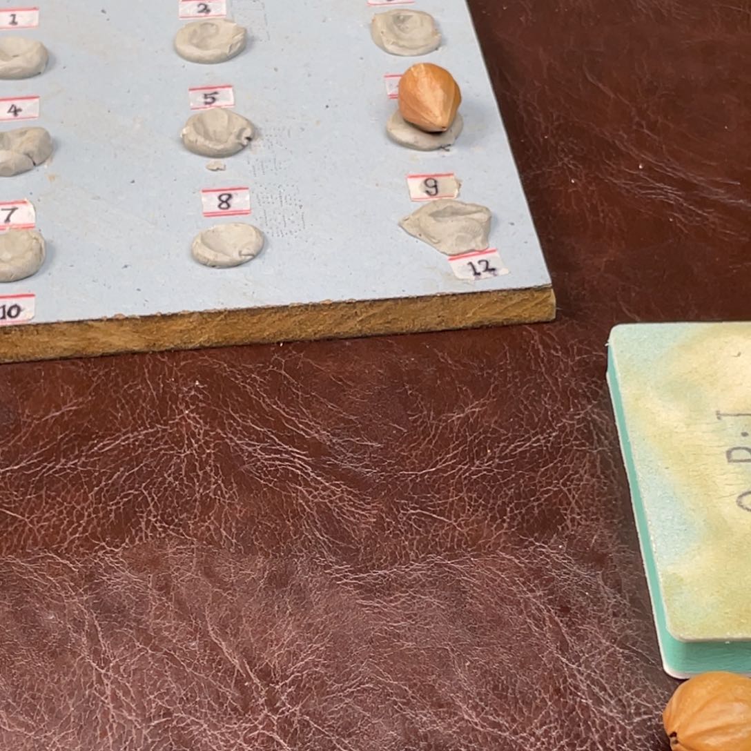 手串/手链橄榄核時*21.24单颗