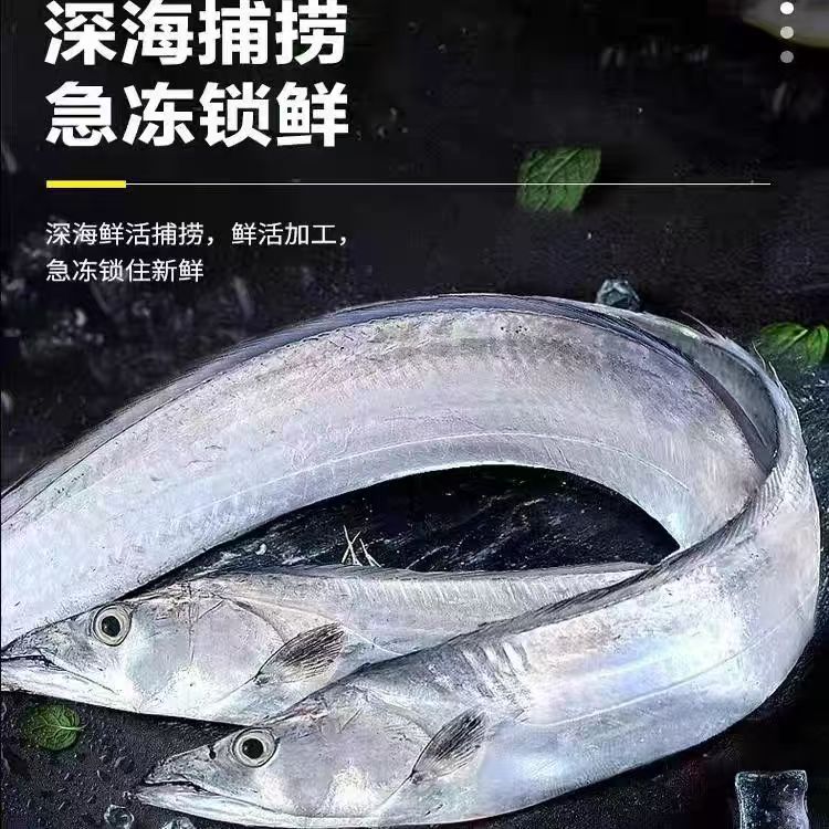 【8条】连云港速冻发货 深海钓带鱼 每条6两左右到手4.8斤