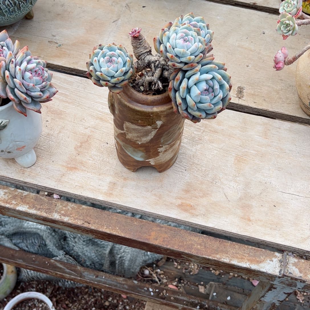 你是否还记得你曾经说