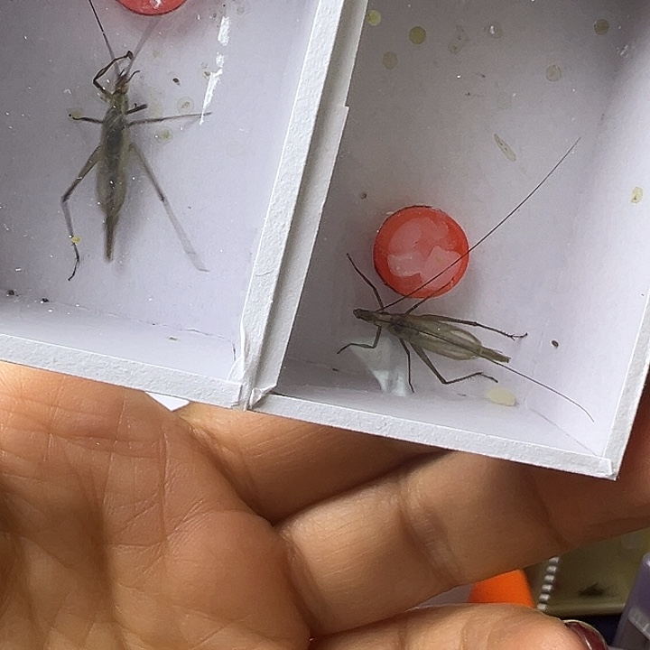 5***留紫竹哈哈哈哈哈哈哈哈哈哈