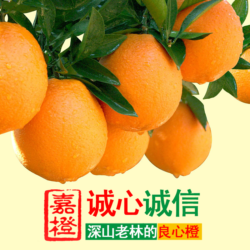 嘉橙【顺丰快递】正宗赣南脐橙【带箱20斤】江西特产信丰脐橙果园直供