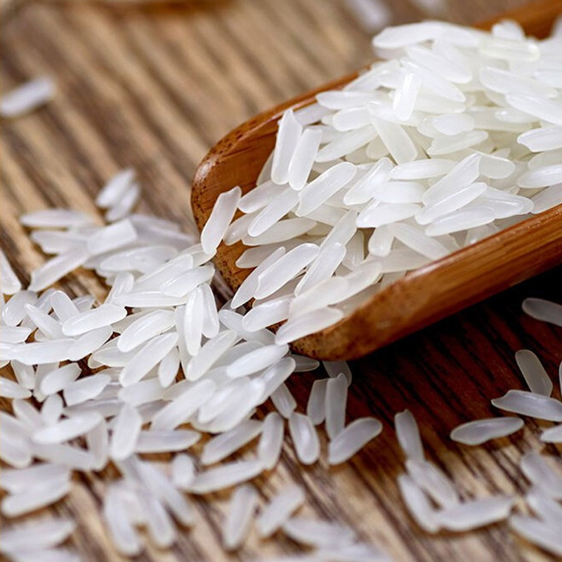 10斤当季新米丝苗香米 当季新米
