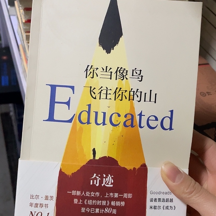 你当像鸟。平装带塑封