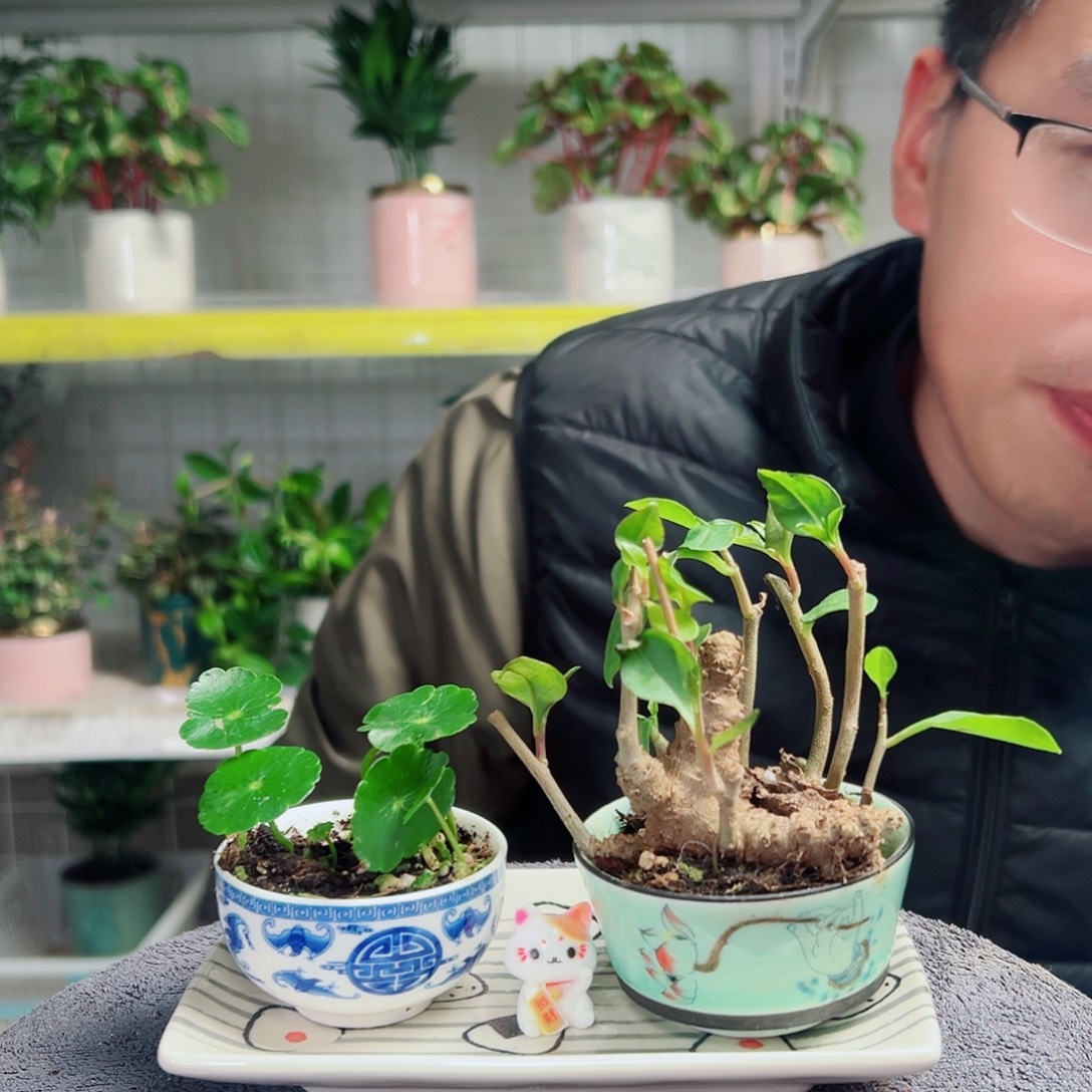 郝***姐无花朵10                            