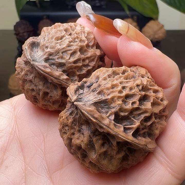 文玩核桃吊坠珊瑚铁核桃