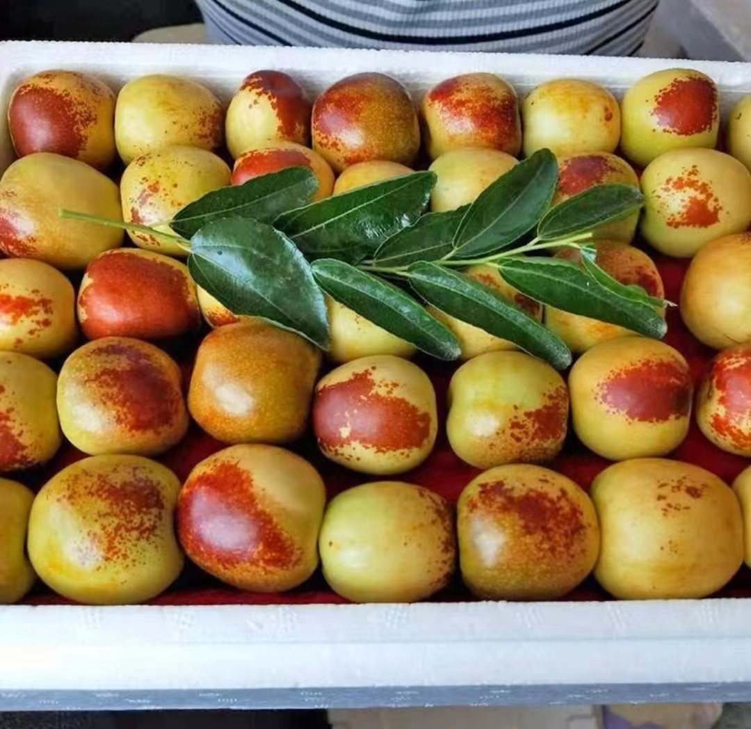 【高品质包邮】脆甜沾化冬枣冰糖大枣爆甜多汁新鲜水果3/5斤