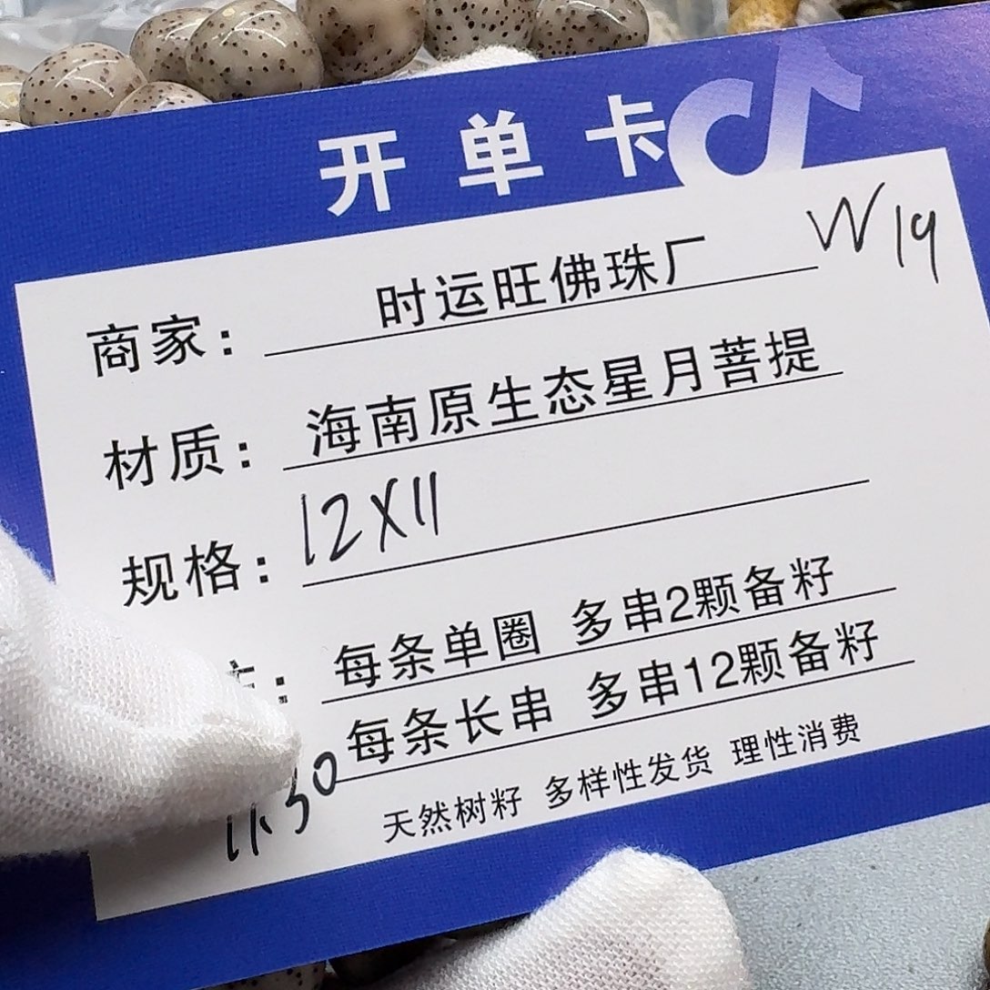 吊坠星月菩提W19           