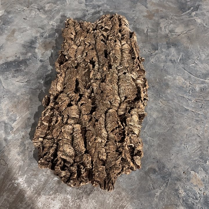 钢***L无花朵一物一拍一物一发