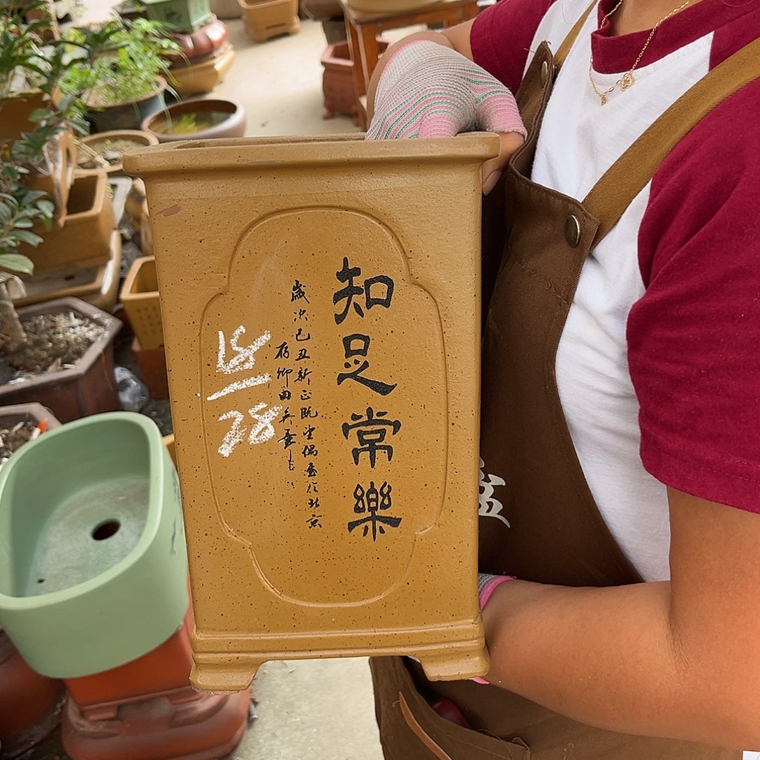紫砂花盆盆景艺术