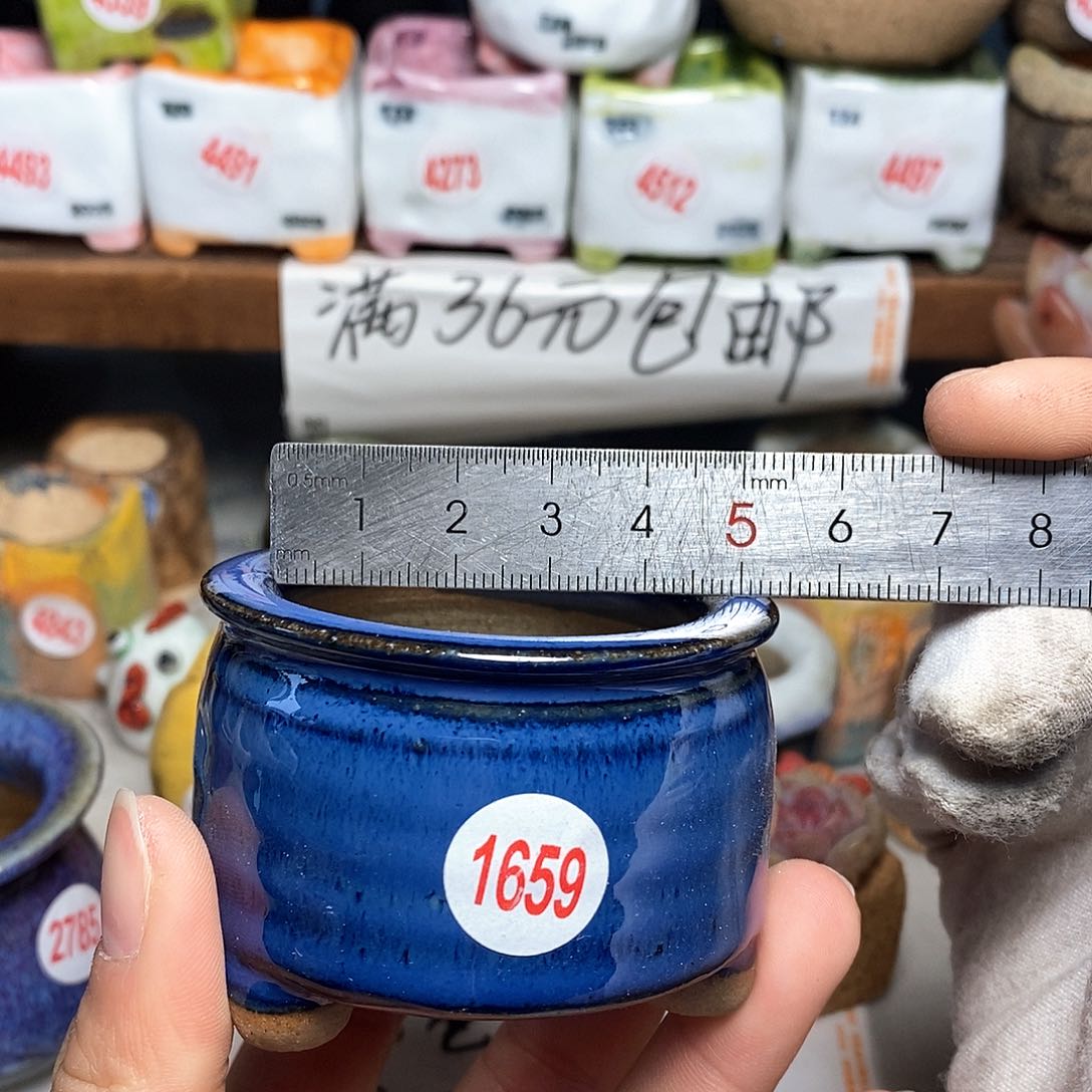 红陶拍5送一个小