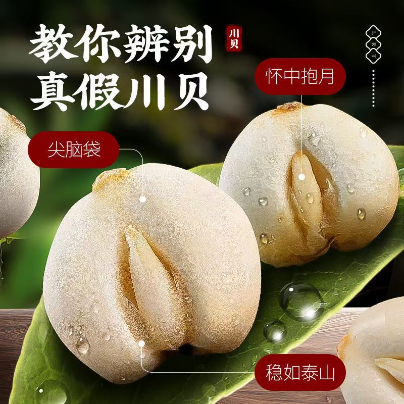 【千惠臻品】四川贝母头茬正品阿坝深山怀中抱月无硫配雪梨