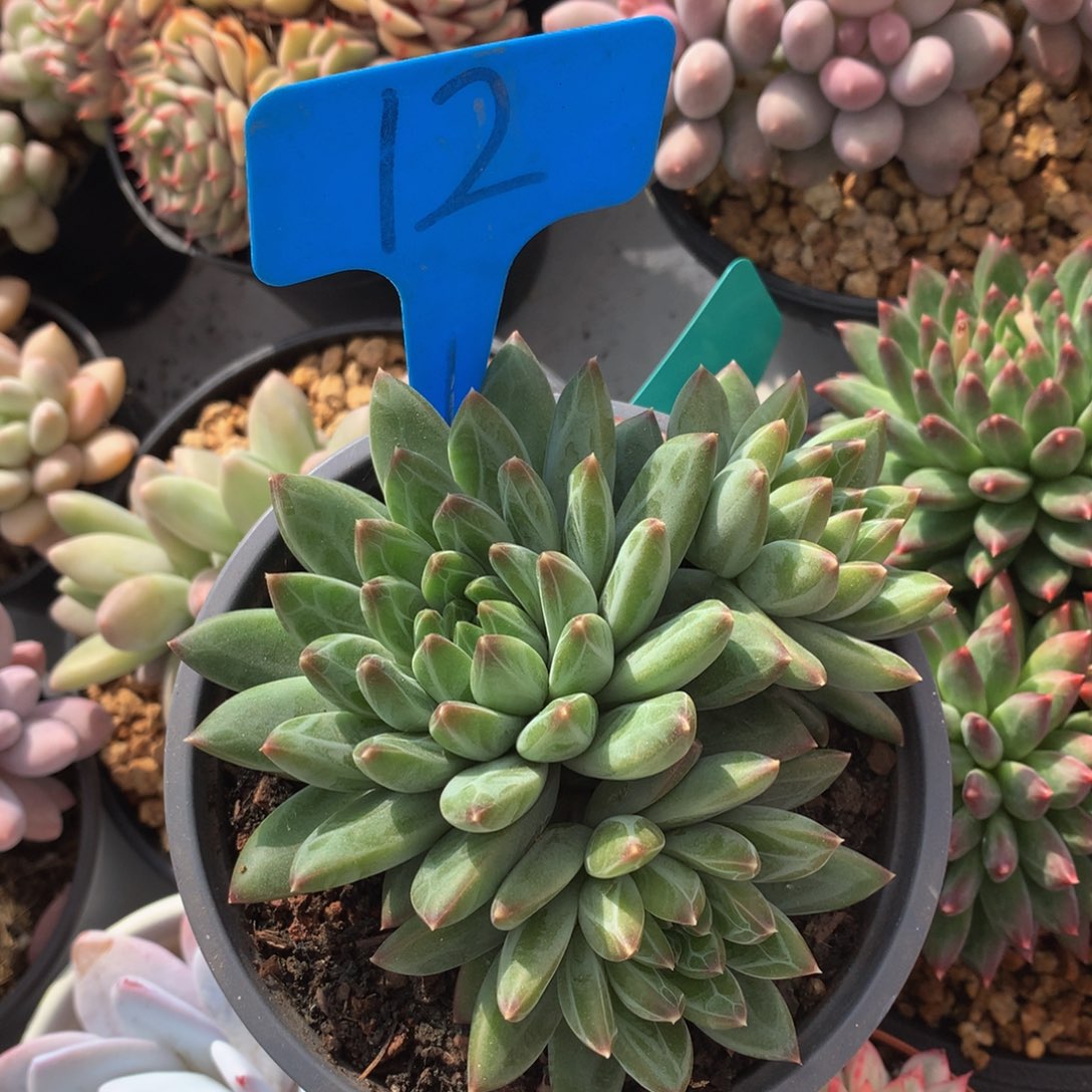 陨石7272727727272372