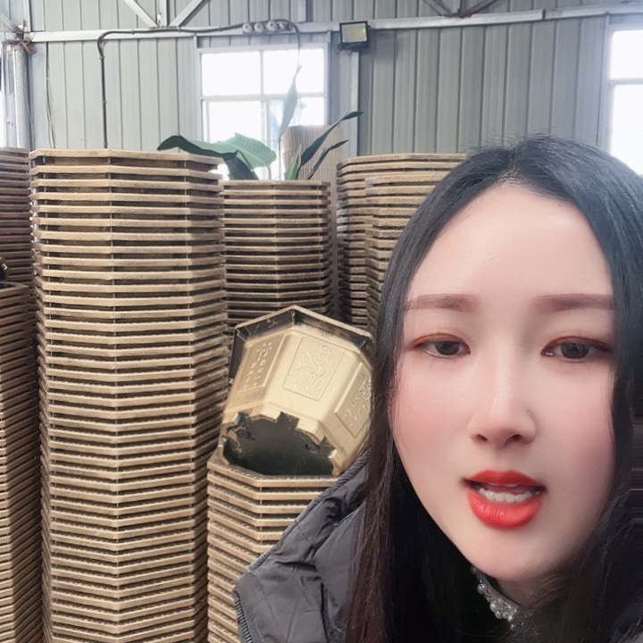 复合八角花盆10个