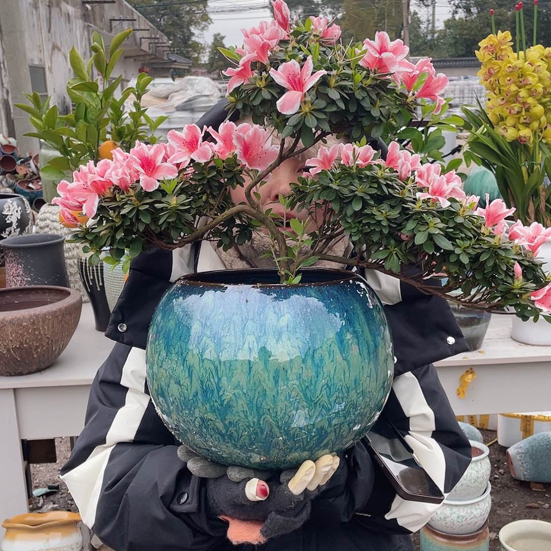 红陶王嫂花盆0201-466