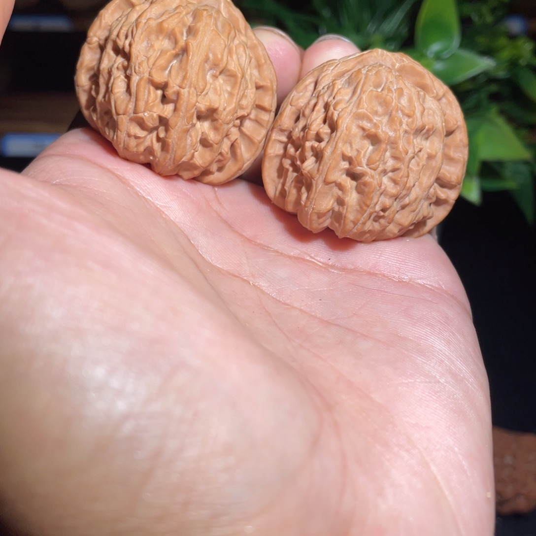 吊坠文玩核桃40白狮子练手对