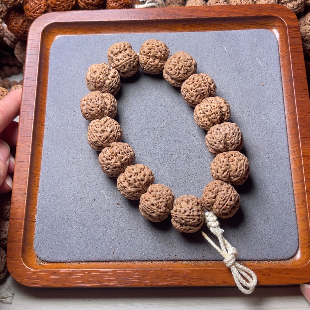 菩提籽类21号金刚菩提梁王梅花22.5/23