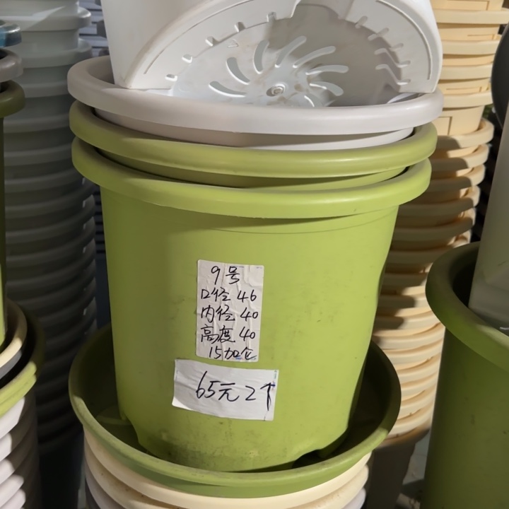 微瑕9#口径46无托果绿3个