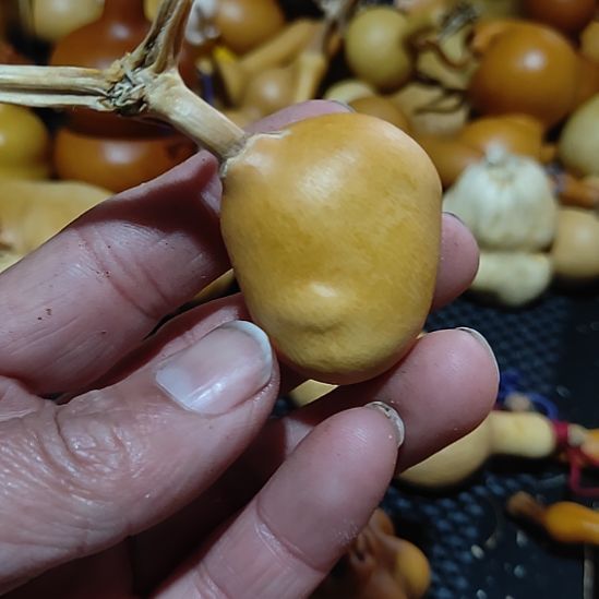 用***0葫芦哈哈哈哈哈哈哈