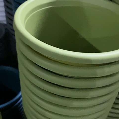 树脂四季6号果绿无托10个