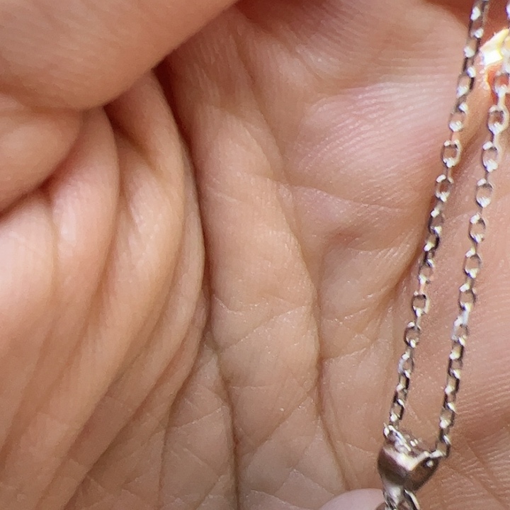 淡水珍珠颈饰银S925镶嵌