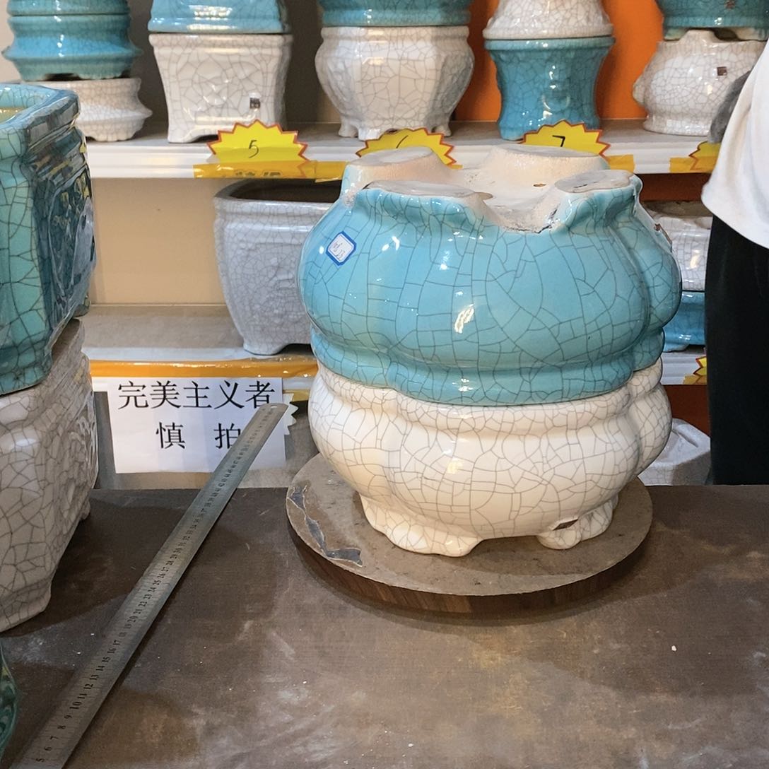 展***@花盆花盆里的花都开