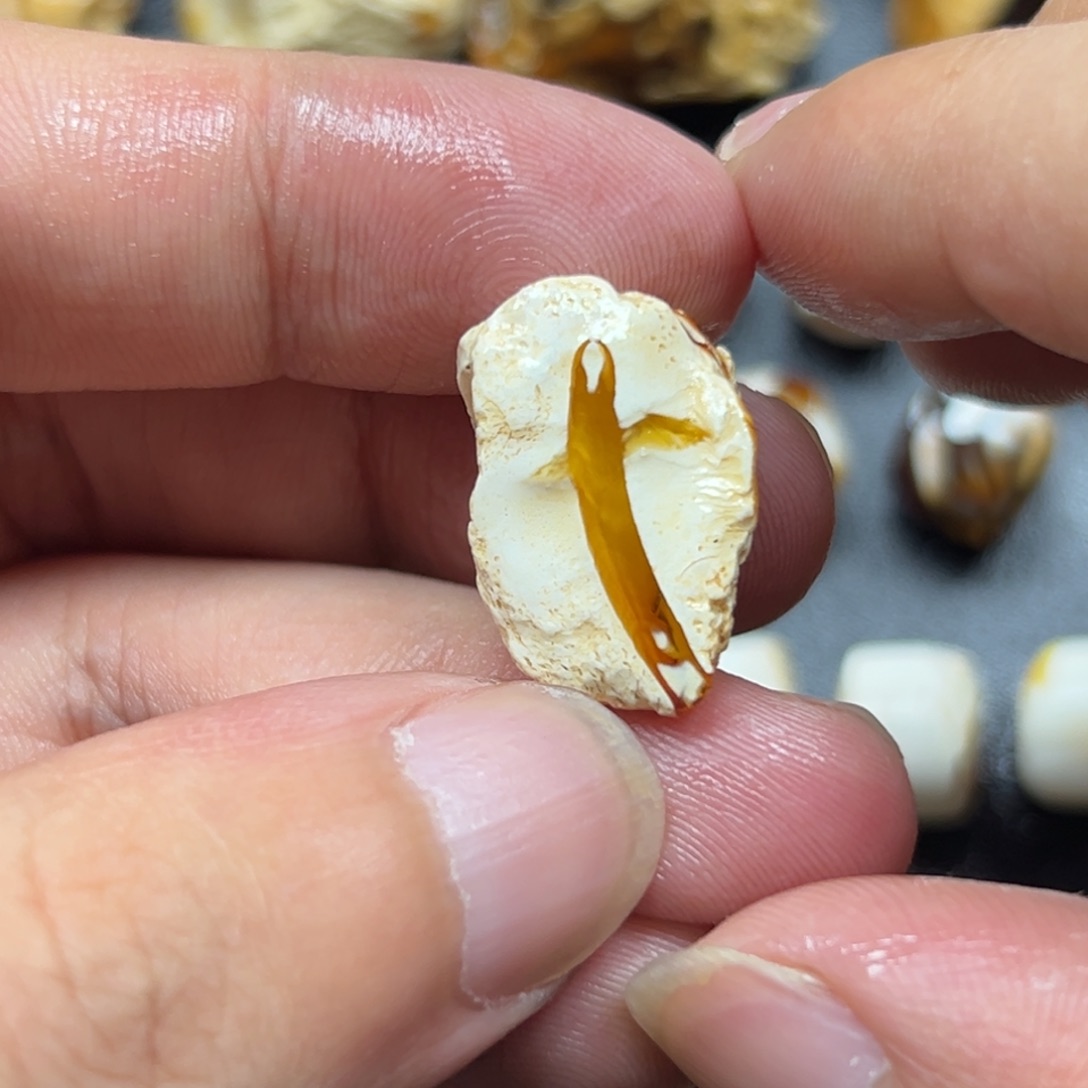未镶嵌定制琥珀琥珀蜜蜡原石定制